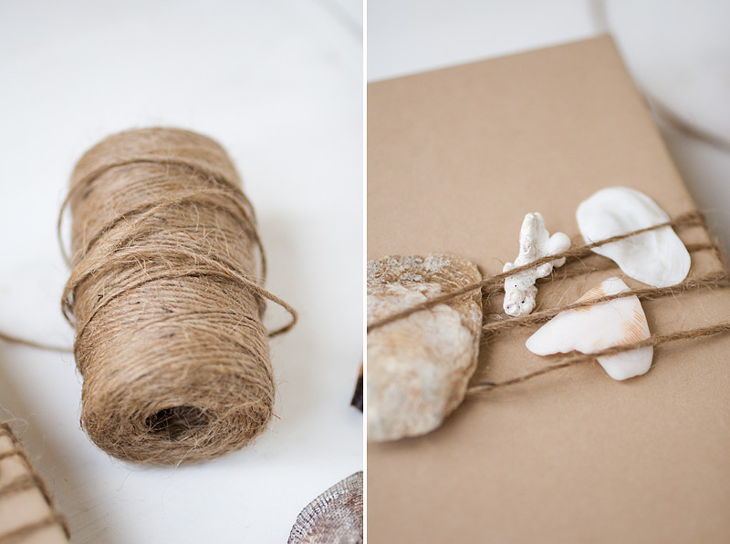 gift wrap: seashells #anastasiamariecards