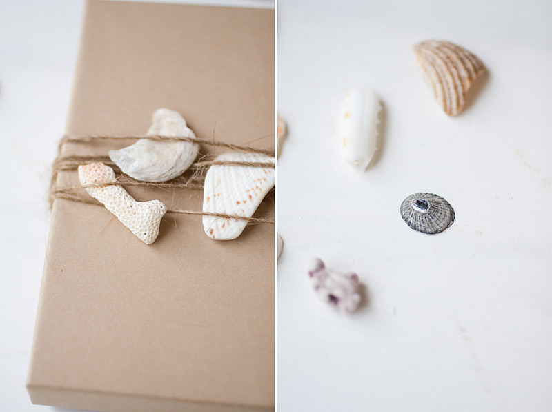 gift wrap: seashells #anastasiamariecards