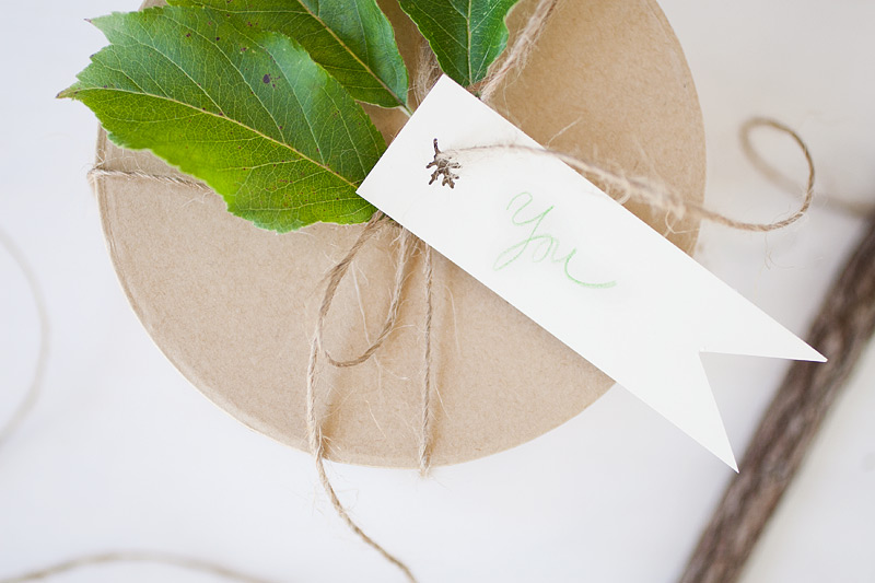 gift wrap: little leaves #anastasiamariecards