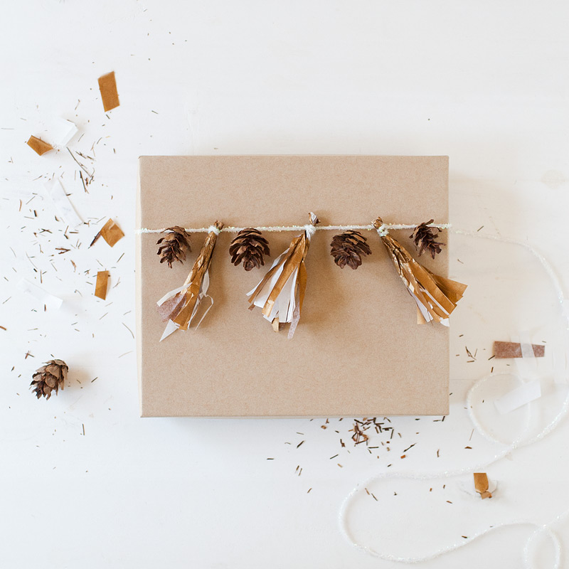 gift wrap: fringe + pinecones // #anastasiamariecards