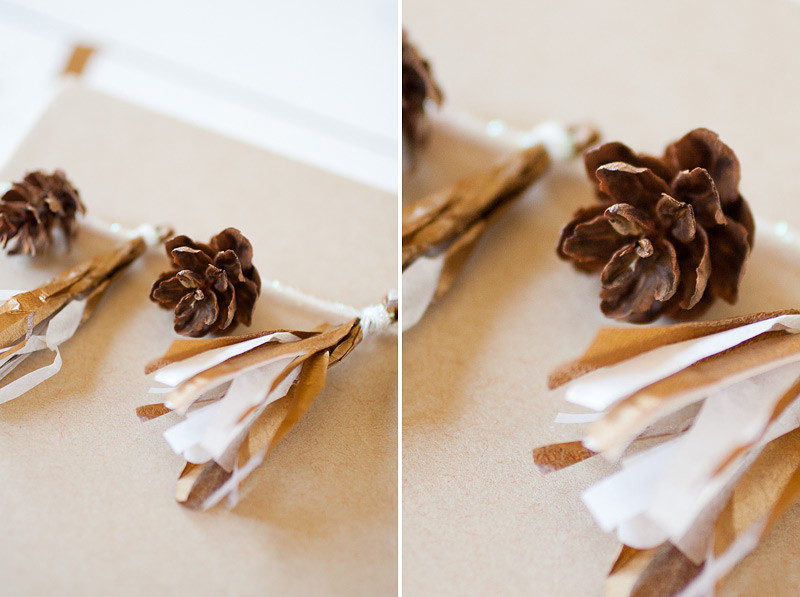 gift wrap: fringe + pinecones // #anastasiamariecards